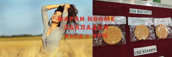 гашик Алексеевка
