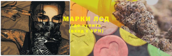 гашик Алексеевка